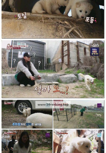 TV 동물농장.E1222.250511.1080p-F1RST