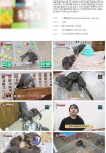 TV 동물농장.E1128.230709.1080p.H264-F1RST