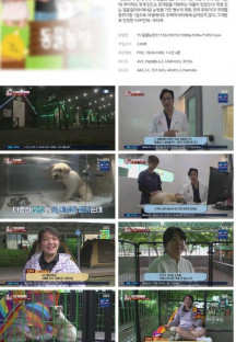 TV 동물농장.E1130.230723.1080p.H264-F1RST.mp4