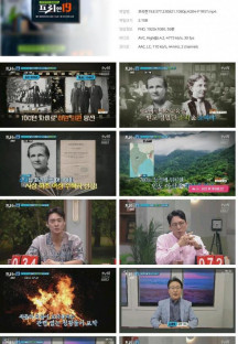 프리한19.E377.230821.1080p.H264-F1RST.mp4