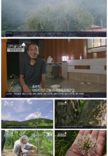 자연의 철학자들.E25.220916.1080p.H264-F1RST.mp4
